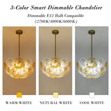 3-Color Dimmable Dandelion Glass Chandelier