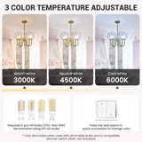 Pink Bubble Chandelier 3000K 4500K 6000K Effect