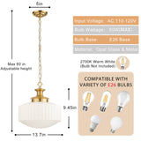 Farmhouse glass chandelier size & specs